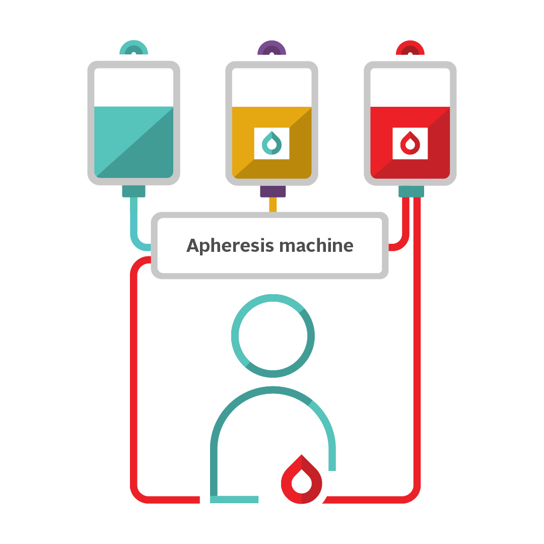 Peripheral infographic