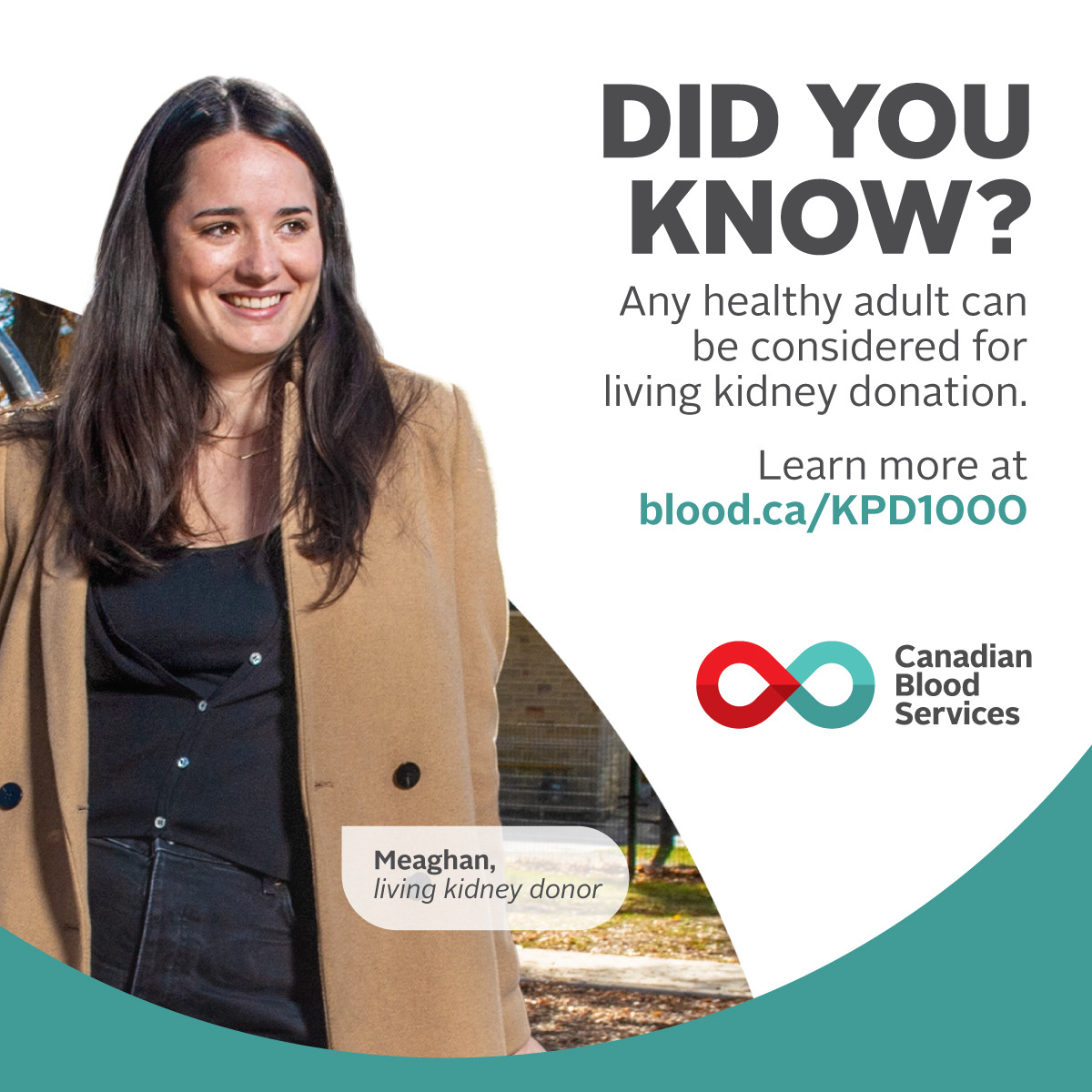 Did you know?