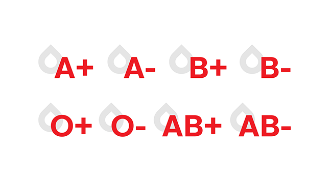 Which blood types are compatible with each other: Blood type