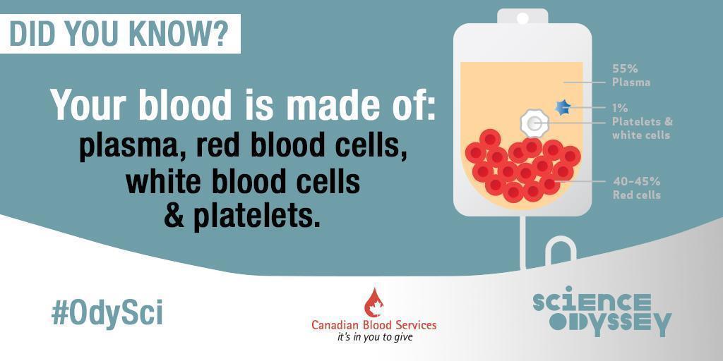 Blood is made up of  plasma, platelets, white blood cells and red blood cells.