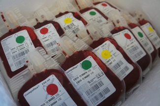 Pediatric blood bags used in the study.