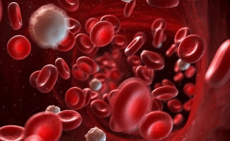blood flow