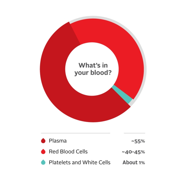 "What's in our blood" graph