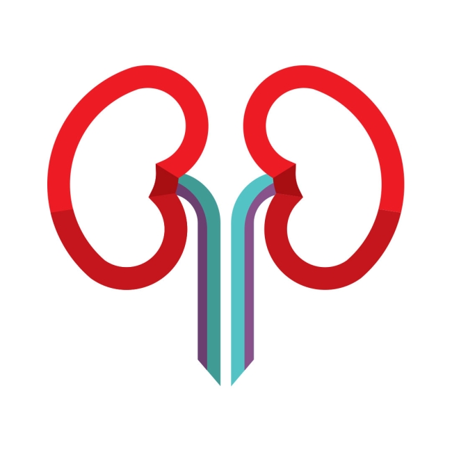 icon-kidneys