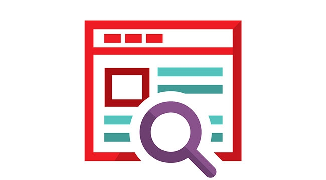 Website search icon