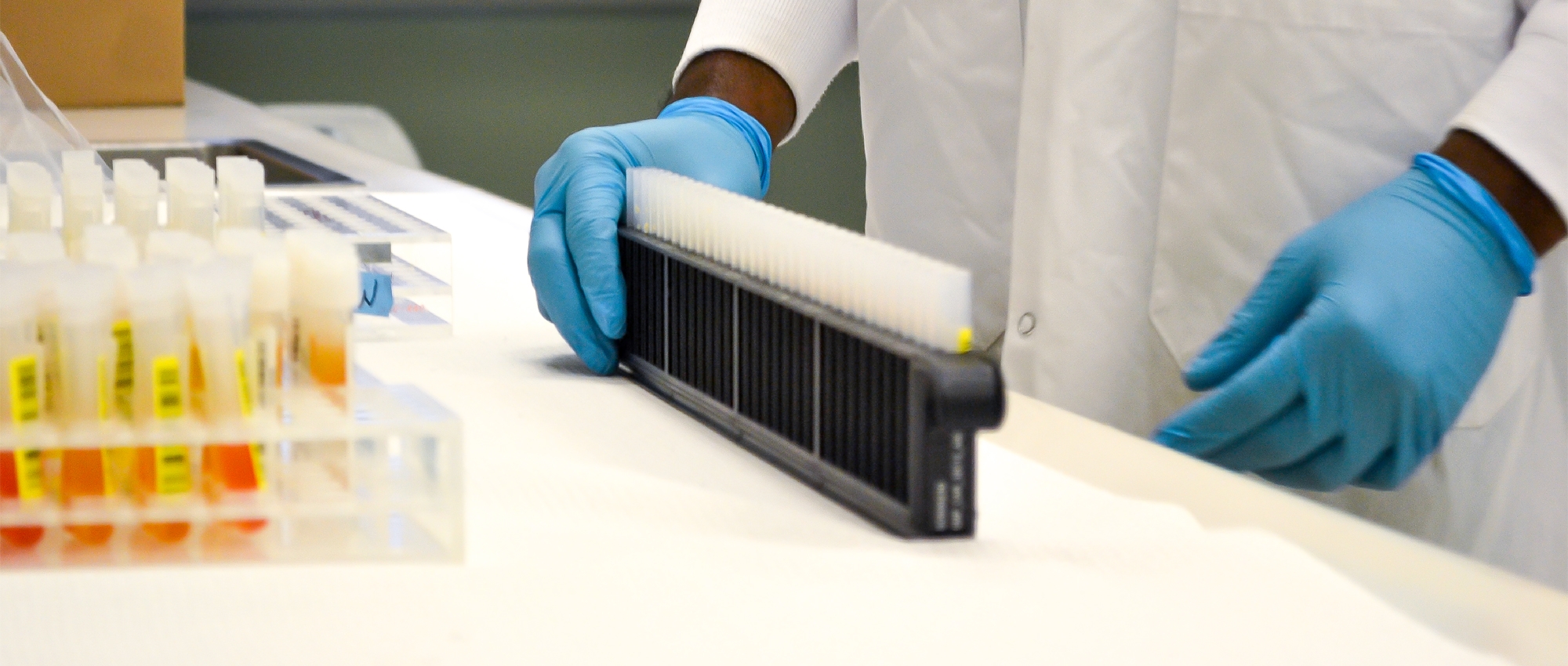 Featured image of blue gloved hand holding a tray of test tubes ready for testing in a lab.