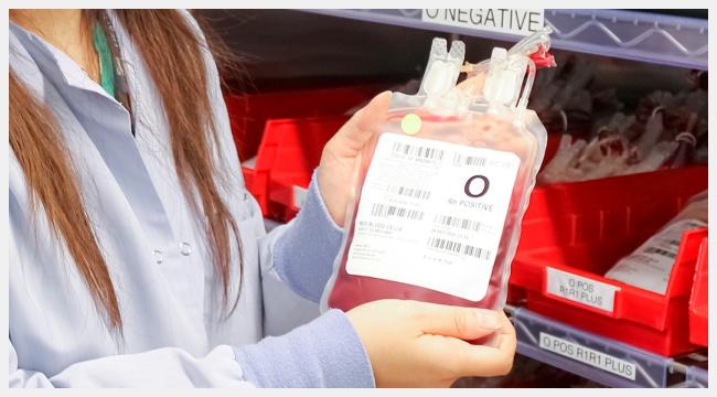 A bag of O-negative blood at Canadian Blood Services' production site in Brampton, Ontario